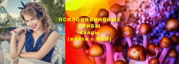 каннабис Вязники