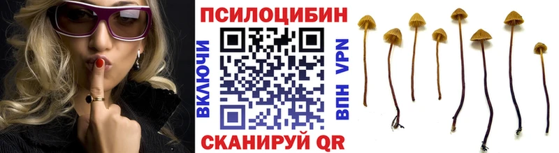 Купить где  Мосальск  Галлюциногенные грибы Psilocybine cubensis 