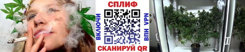 Конопля VHQ  Купить где  Мосальск 